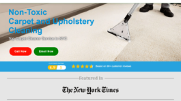 Top Green Carpet Cleaner Service