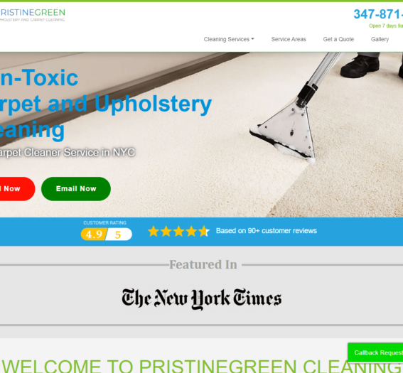 Top Green Carpet Cleaner Service